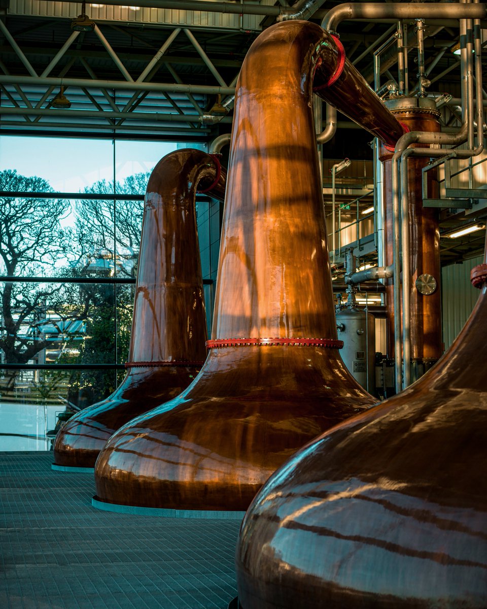 Celebrating International Irish Whiskey Day: A Toast to History, Craft & Modern Revival