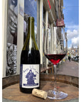 CATHERINE ET PIERRE BRETON BOURGUEIL AVIS DE VIN FORT 2022
