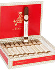 MONTECRISTO AJ FERNANEZ TORO